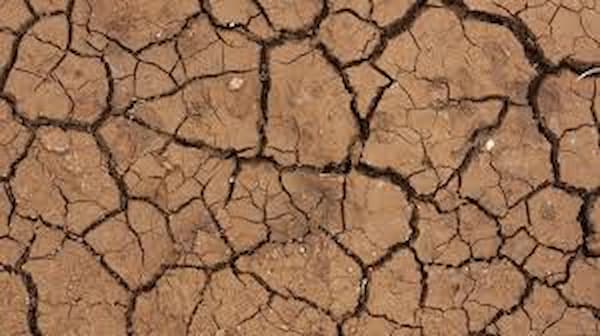 تصویر 2 از خرید خاک رس مصالح ساختمانی + قیمت فروش استثنایی
